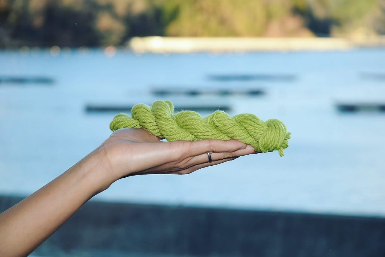 「海の青草」